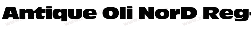 Antique Oli NorD Reg字体转换